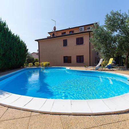 Apartments With A Swimming Pool Novigrad - 7078 Ngoại thất bức ảnh