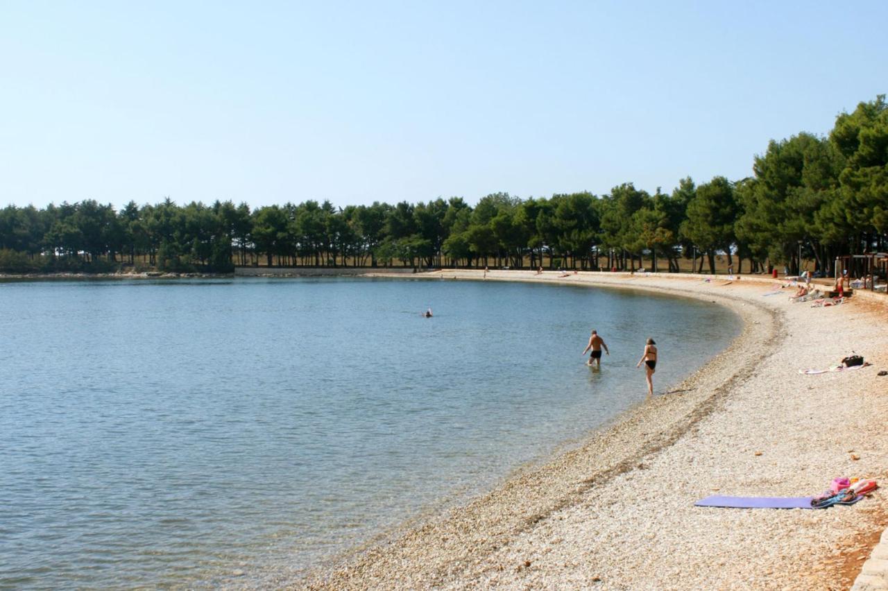 Apartments With A Swimming Pool Novigrad - 7078 Ngoại thất bức ảnh
